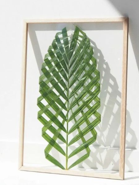 Leaf on a frame