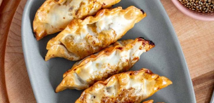 Air Fryer Potsticker Recipes