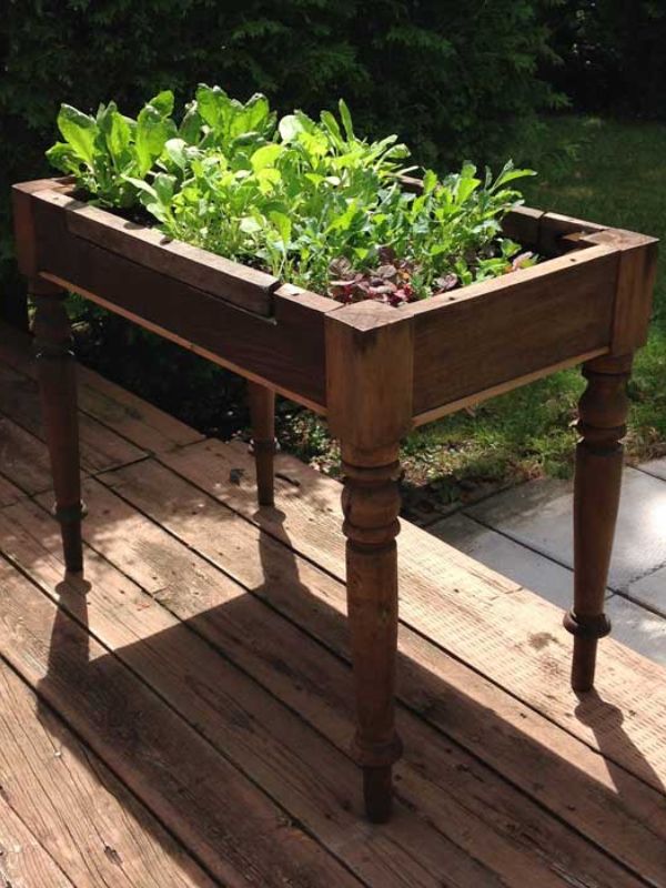 DIY Lettuce Table