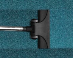 How to Clean Moldy Carpet