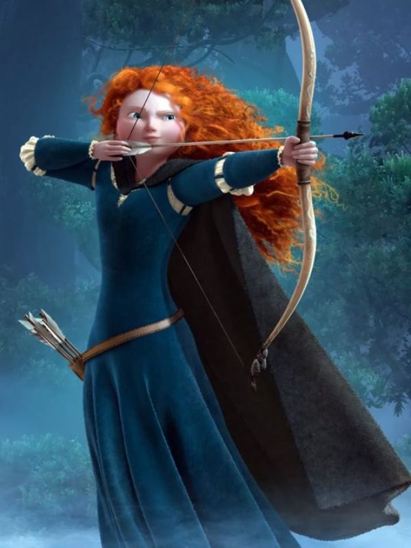 Princess Merida Costume